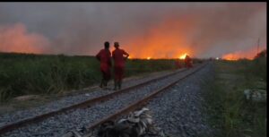 Kabut Asap Akibat Karhutla Di Ogan Ilir Mulai Selimuti Jalur Kereta Api