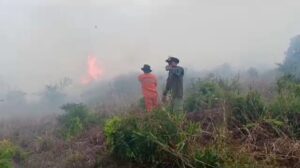 Karhutlah Di Ogan Ilir Semakin Meluas, Indeks Kualitas Udara Kian Memburuk