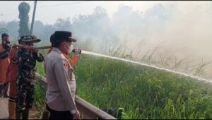 Polisi Belum Tetapkan Satu Pelaku Meski Karhutlah Telah Membakar Ratusan Hektr Lahan Di OI