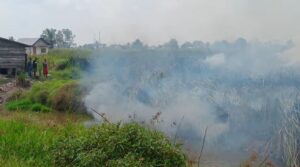 Warga Muara Dua OI Panik Lihat Karhutla Nyaris Mendekati Rumah
