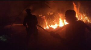 Tim Satgas Karhutlah Di Ogan Ilir Makin Kewalahan Hadapi Titik Api Yang Semakin Banyak