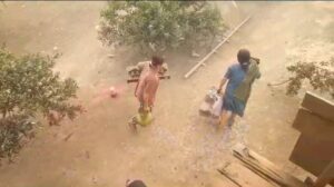 Panik Karhutlah Mendekati Rumah, Warga Pulau Semambu OI Ungsikan Perabotan