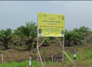 KLHK Segel Satu Perusahaan Sawit Di Ogan Komering Ilir