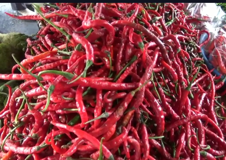 Harga Cabai Di OKU Kian Pedas