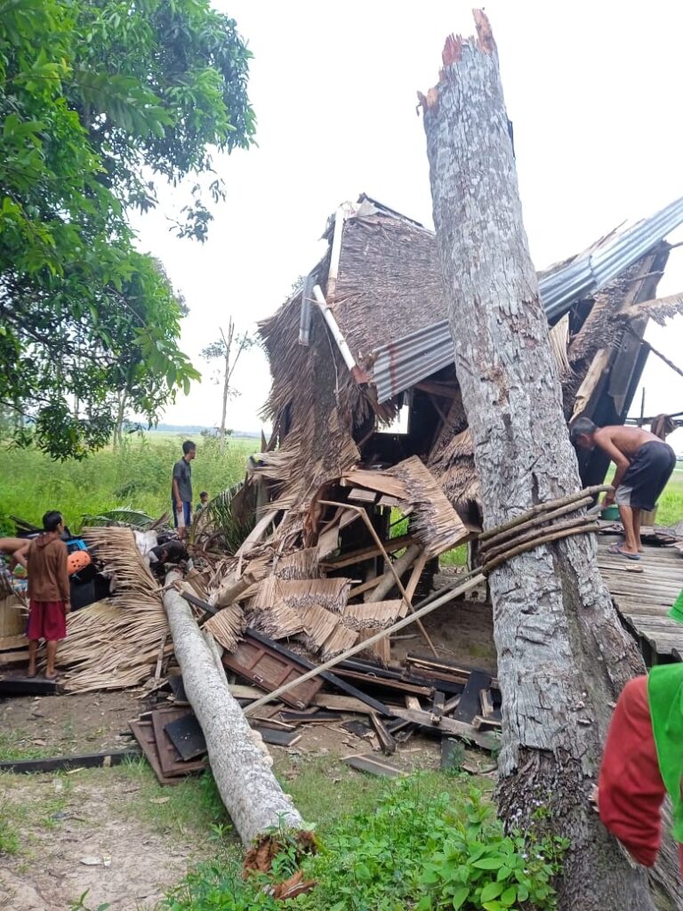 Hujan Beserta Angin Kencang Bikin Rumah Daud Roboh Ditimpa Pohon Kelapa
