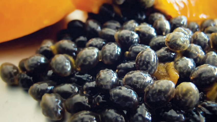 Manfaat Biji Pepaya yang Jarang Diketahui