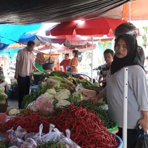 Harga Tomat Di Pasar Tradisional Baturaja Melonjak Drastis