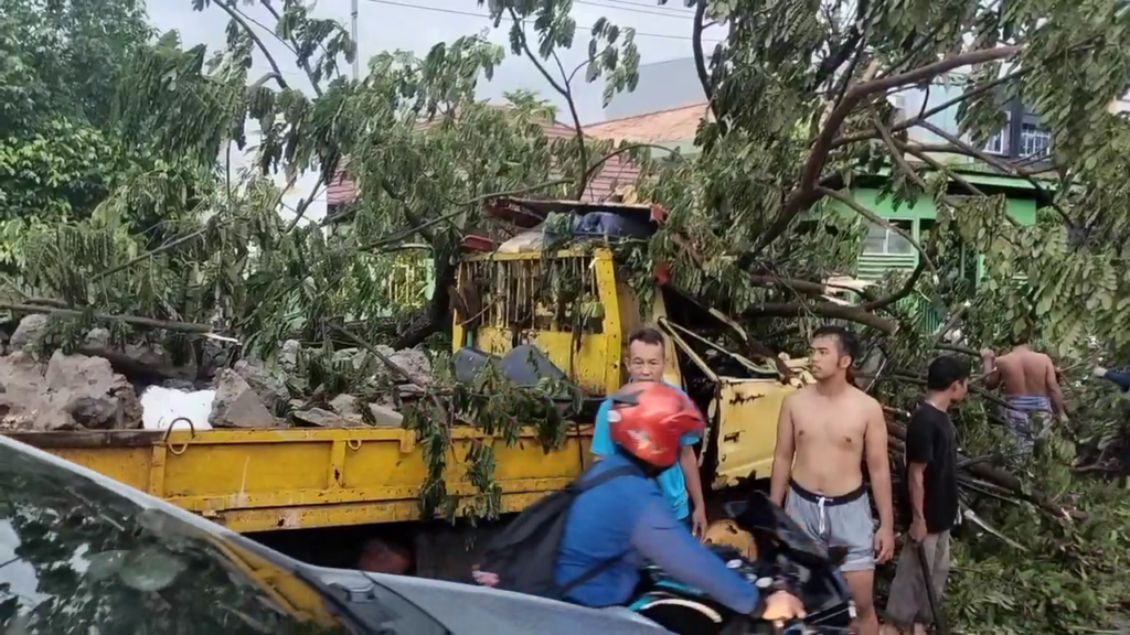 Pohon Tumbang  Menimpa Mobil, Sopir Alami Patah Bahu Kanan