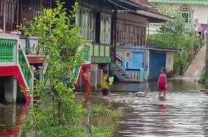 Puluhan Rumah Di Desa Lingkis OKI Terendam Banjir