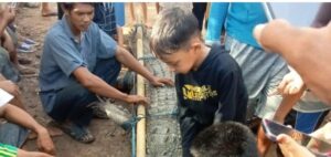 Kemunculannya Resahkan Warga, Buaya Berukuran 3,5 Meter Ditangkap Warga
