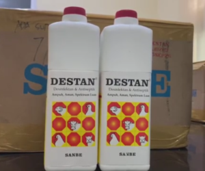 Disnak OKU Timur Cegah Penyakit Menular Hewan