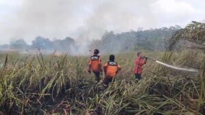 Karhutla Kembali Terjadi Di OI, Asap Pekat Mulai Menutupi Tol Palindra