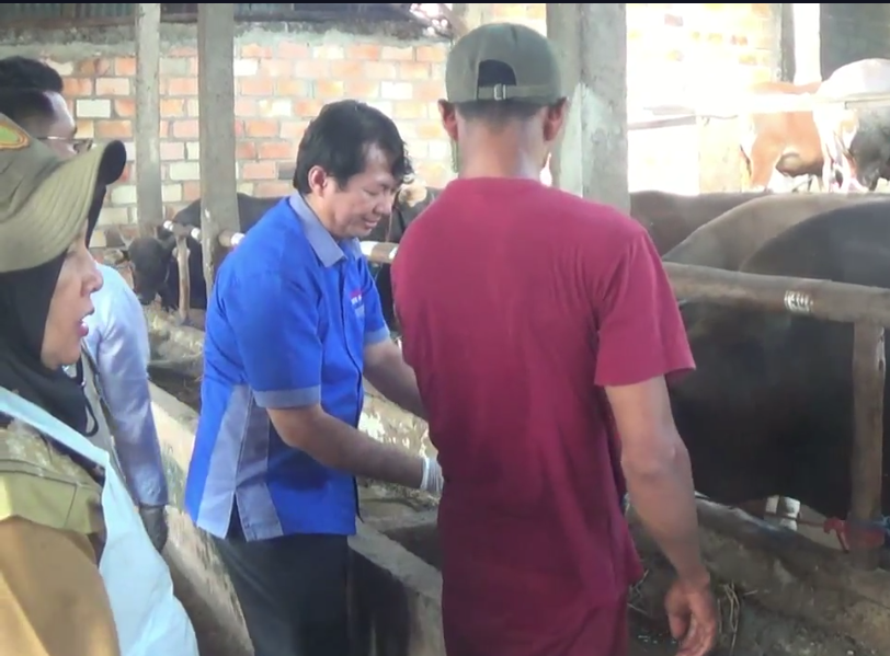 Disnak Sumsel Sidak Penjualan Hewan Kurban