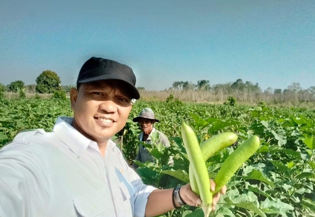Poktan Cahaya Gemilang Sukses Kembangkan Pertanian Terong Hijau