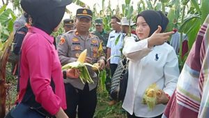 Sinergi Polisi Dan Petani Wujudkan Ketahanan Pangan