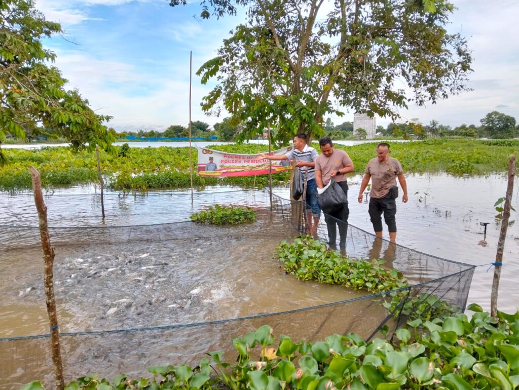 Polsek Pemulutan Budidaya Ikan Dukung Ketahanan Pangan