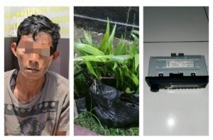 Tim Tekab 156 Ringkus Pencuri Ratusan Bibit Sawit Dan Elektronik