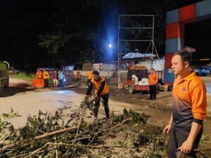 BPBD Muba Pangkas Pohon Rawan Tumbang