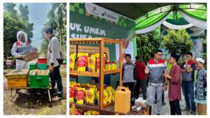 Agrosociopreneurship PHE Jambi Merang yang Mengubah Wajah Desa