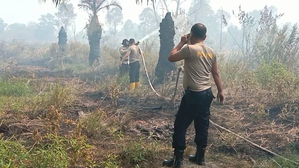 Dua Hari Karhutla Tak Kunjung Padam, Satgas Kewalahan