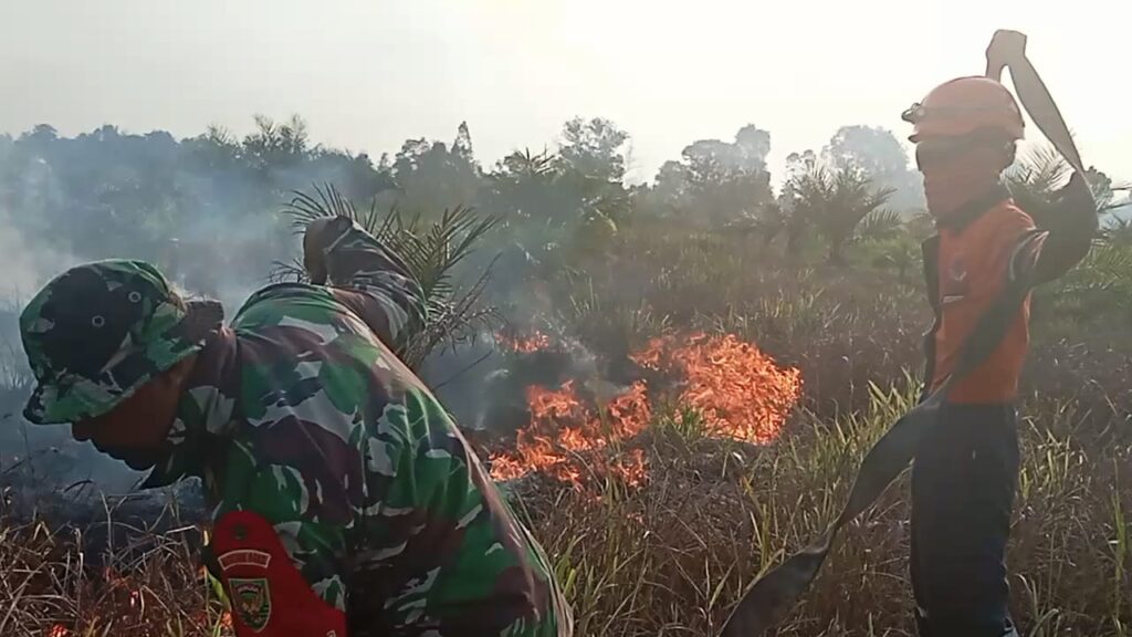 Respons Cepat Tim Damkar Muba Padamkan Kebakaran Lahan di Sekayu