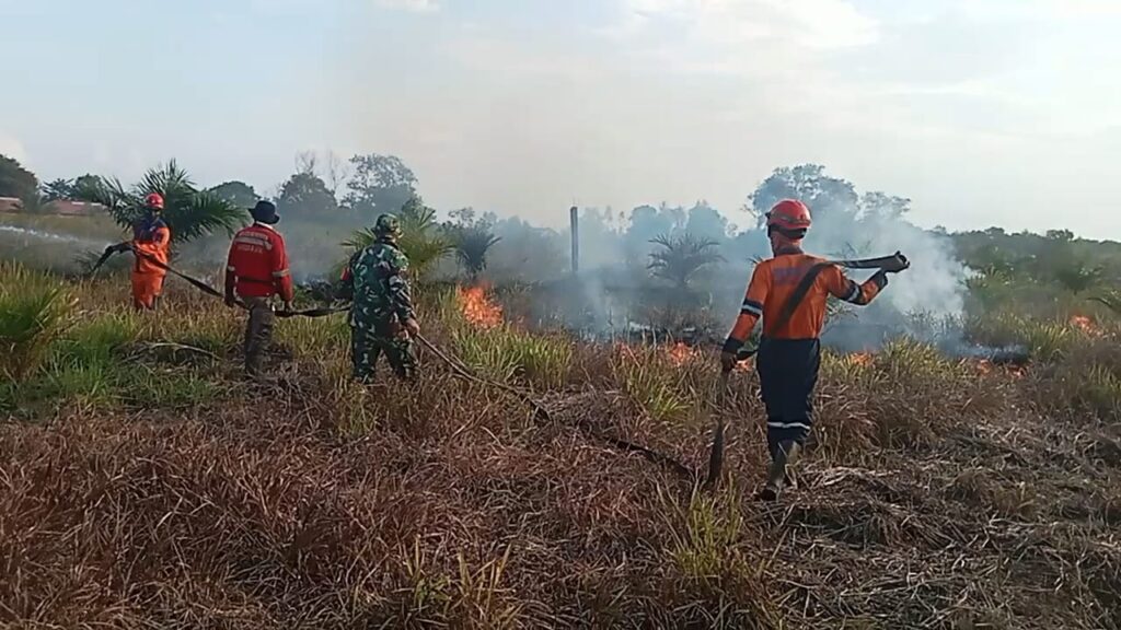Kebakaran Lahan di Ogan Ilir Meluas, Tim Gabungan Terkendala Akses Air