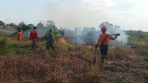 Kebakaran Lahan di Ogan Ilir Meluas, Tim Gabungan Terkendala Akses Air