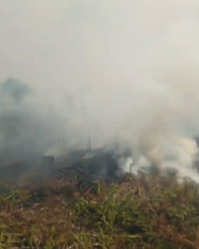 Karhutla Landa Ogan Ilir, Petugas Masih Berupaya Padamkan Api