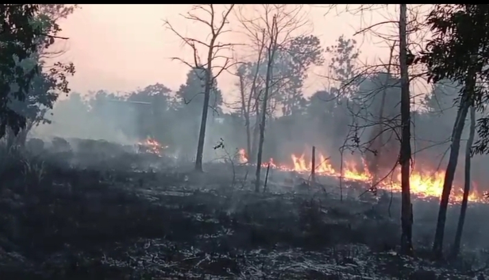 Karhutla Kian Meluas, Warga Cemas Api Dekati Pemukiman