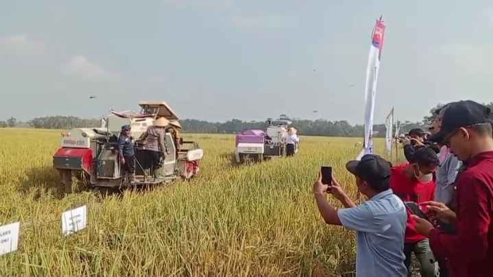 Lempuing Jaya Siap Tancap Gas Ke IP 300