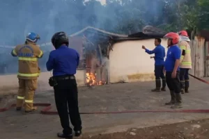 Satu Warung Ilegal di Bawah Jembatan Benteng Lahat Terbakar Pasca Kunjungan Wabup