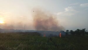 Kebakaran Lahan di Ogan Ilir, Dua Helikopter Waterbombing Dikerahkan