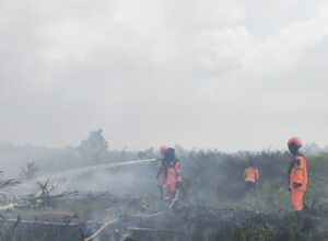 Karhutla Kembali Landa Ogan Ilir, Lahan di Desa Pelem Raya Terbakar