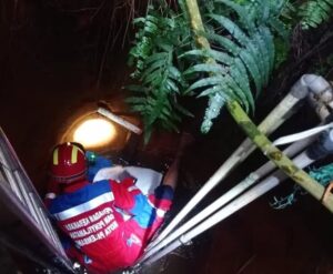 Kucing Jatuh ke Sumur Dalam, Evakuasi Damkar Jadi Sorotan Warga Palembang