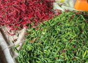Update Harga Cabai di Musi Rawas: Cabai Merah Keriting Naik Rp5.000 per Kilogram