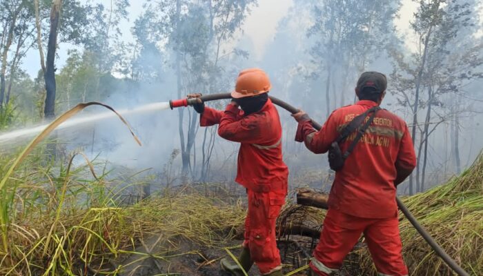 Manggala Agni Padamkan Kebakaran Lahan di Palembang