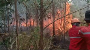 Kebakaran Hutan Kembali Landa Ogan Ilir, 3 Hektare Lahan Terbakar