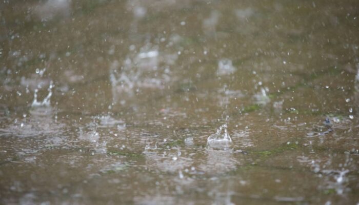 BMKG: Hujan Ringan hingga Petir Berpotensi Terjadi di Sejumlah Kota Besar Hari Ini