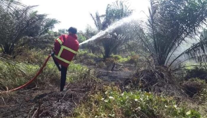 Sumsel Catat 783 Kasus Karhutla, Cuaca Panas dan Kebiasaan Bakar Lahan Jadi Pemicu