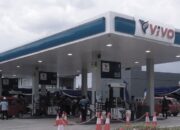 BBM Vivo Naik Serentak, Pertamina Hanya Ubah Harga Dex Series