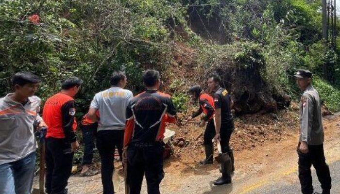 Longsor Tutup Jalan di Lubuk Buntuk, Akses Segera Dibersihkan