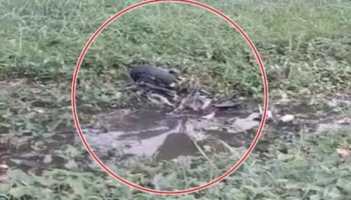 Viral! Sepasang Kekasih Tewas Diduga Korban Tabrak Lari di Palembang