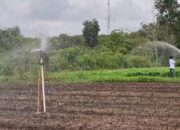 Pertamina Hidupkan Kembali Lahan Tidur di Ogan Ilir Lewat Program Sinergi Semambu