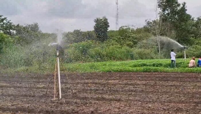 Pertamina Hidupkan Kembali Lahan Tidur di Ogan Ilir Lewat Program Sinergi Semambu