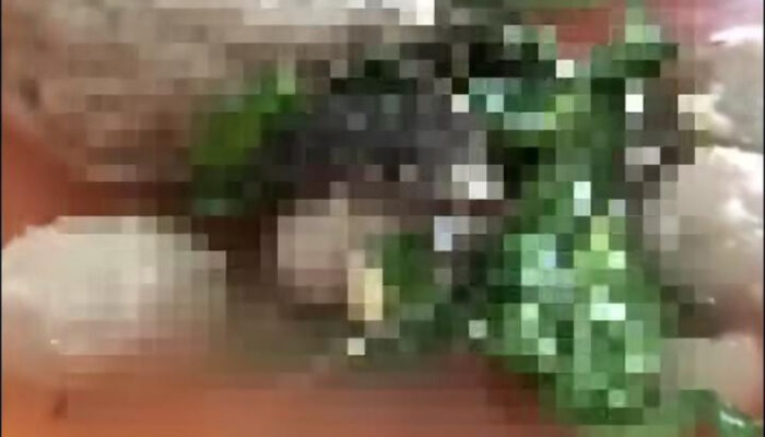 Viral! Pembeli Online Di Palembang Kaget Temukan Diduga Kodok Dalam Bakso