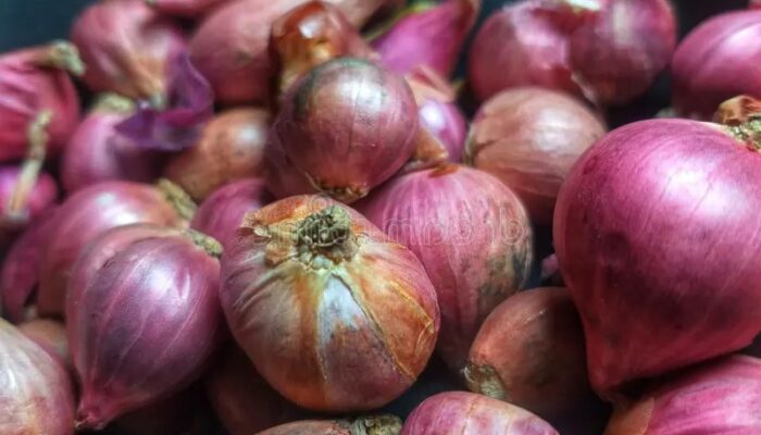 Harga Cabai dan Bawang Merah Turun, Beras Juga Alami Penurunan