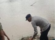 Penemuan Tragis di Babat Toman, Jasad Bayi Ditemukan Tanpa Kaki