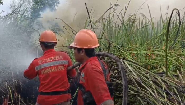 Kebakaran Lahan di Sungai Rambutan, Tim Gabungan Berjibaku Padamkan Api