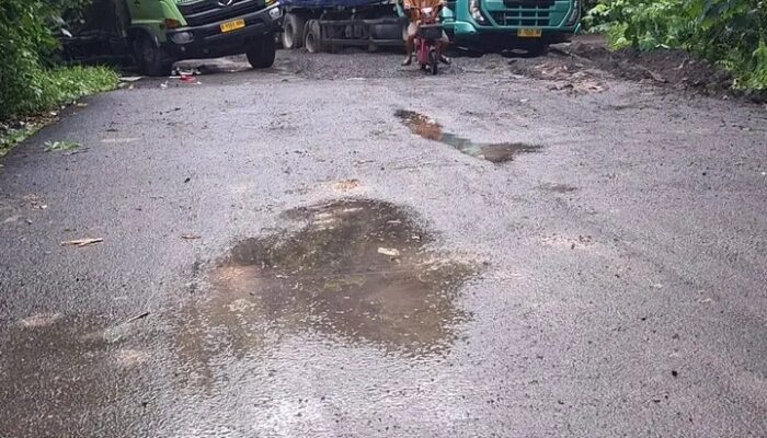 Truk 30 Ton Terperosok, Jalur Lubuk Keliat–Muara Kuang Lumpuh Total