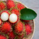 Si Merah yang Menyehatkan: Mengupas Segudang Manfaat Buah Rambutan bagi Tubuh